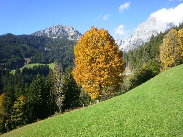 Fruehstueckspension Roetelstein Hotel Ramsau am Dachstein Kültér fotó